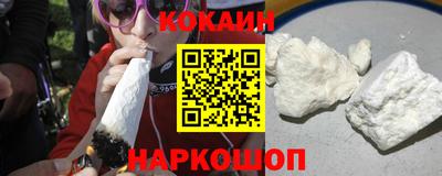 шишки Можга