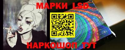 шишки Можга