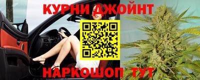 шишки Можга