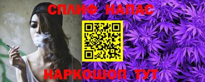 шишки Можга
