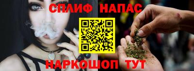 шишки Можга