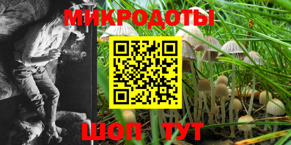 Галлюциногенные грибы мухоморы Черняховск