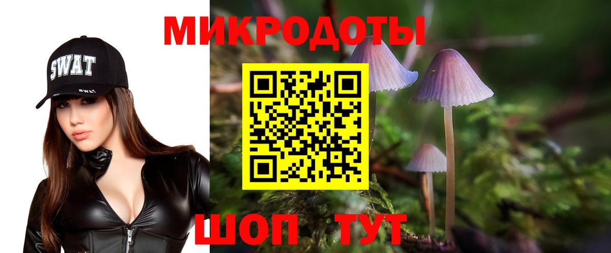 Галлюциногенные грибы GOLDEN TEACHER  Вход с VPN  Псилоцибиновые грибы Psilocybe  сколько стоит  Черняховск 